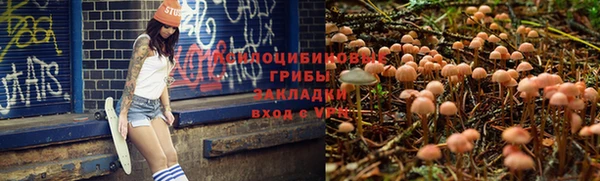 а пвп мука Алексин
