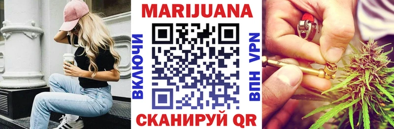 наркотики  Георгиевск  Каннабис сатива 
